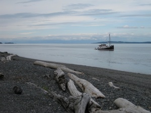 Pelican Beach on Cypress Island  in Washington State