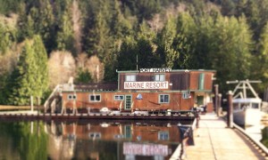 port harvey